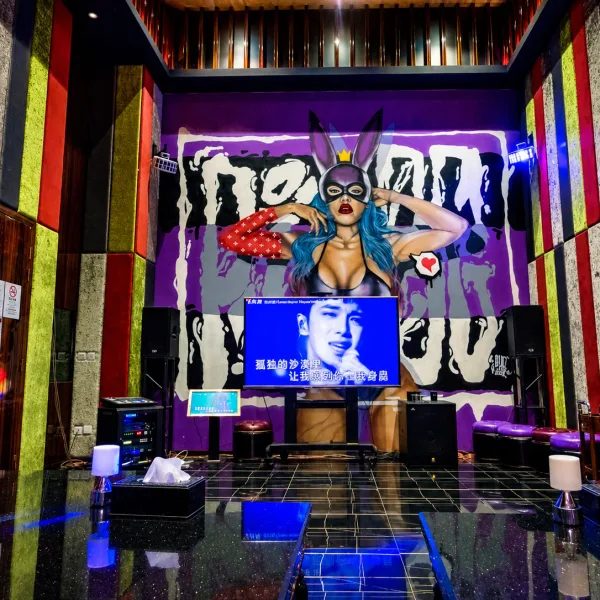 KTV 房,霓虹主題。